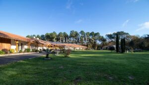 Un hôtel et un restaurant extraordinaires situés sur les rives d'un lac et d'une plage pittoresques.