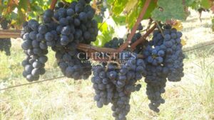 A vendre jolie propriété de 1 ha en AOC Saint-Emilion