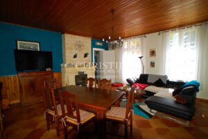Attractive 10-hectare vineyard estate with 2 houses - AOC Castillon Côtes de Bordeaux