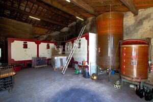 Attractive 10-hectare vineyard estate with 2 houses - AOC Castillon Côtes de Bordeaux