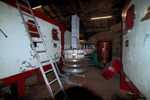 Attractive 10-hectare vineyard estate with 2 houses - AOC Castillon Côtes de Bordeaux