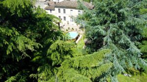 Attractive 10-hectare vineyard estate with 2 houses - AOC Castillon Côtes de Bordeaux