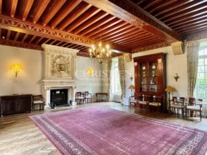 Chateau de Campagne et Domaine extraordinaire près de Brantôme