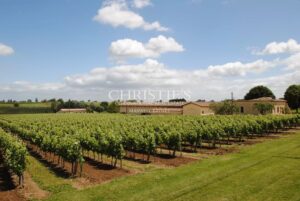 For sale Turnkey vineyard estate of 26 ha - perfectly maintained!