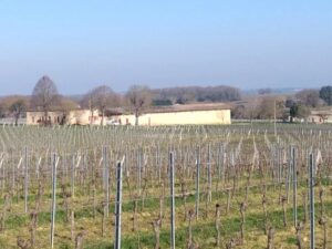 For sale Turnkey vineyard estate of 26 ha - perfectly maintained!