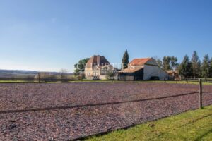 Noble MANSARD MAISON avec maison d'amie, granges et écuries, niché dans une campagne exquise