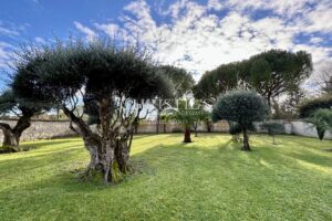 Exclusif : Élégant manoir du XVIIIe siècle avec jardin d’exception à 5 minutes de Saintes