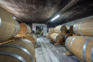 COGNAC - Prestigieuse maison de négoce avec vignoble
