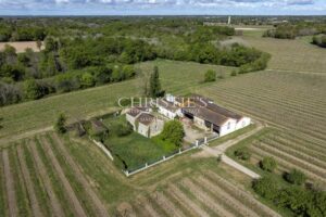 COGNAC - Prestigieuse maison de négoce avec vignoble