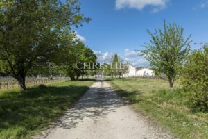 COGNAC - Prestigieuse maison de négoce avec vignoble