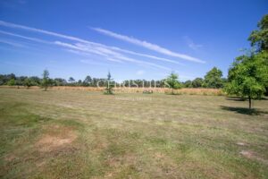 SECHOIR DE TABAC réaffectée nichée dans un cadre rural pittoresque, offrant 5 hectares de terre qui vous relient harmonieusement à la nature.