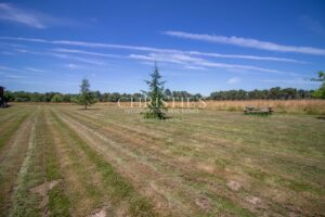 SECHOIR DE TABAC réaffectée nichée dans un cadre rural pittoresque, offrant 5 hectares de terre qui vous relient harmonieusement à la nature.
