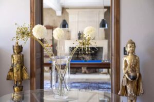 Elégante Maison de Maître de 12 pièces, 7 suites, cachet historique et prestations de luxe