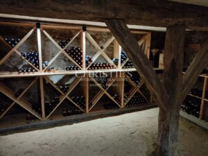 Elégante Maison de Maître de 12 pièces, 7 suites, cachet historique et prestations de luxe