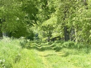 Magnifique propriété au coeur de la vallée de la Loire