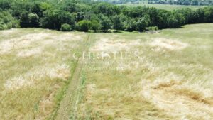 Propriété de 18 hectares avec vue dominante, maison de maître et gites - superbe potentiel !