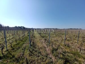 5 ha of AOC Haut Médoc vines with modern operational buildings