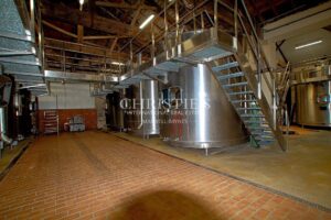 28 ha wine estate in excellent condition with attractive buildings