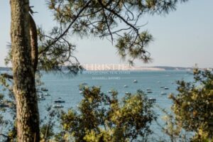 Front line - Panoramic view