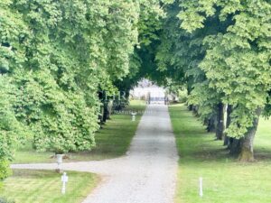 Château historique de la vallée de la Loire, superbement rénové, dans son parc de 5 hectares.
