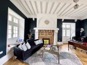 Château historique de la vallée de la Loire, superbement rénové, dans son parc de 5 hectares.