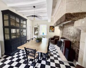 Château historique de la vallée de la Loire, superbement rénové, dans son parc de 5 hectares.