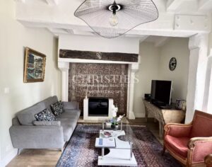 Château historique de la vallée de la Loire, superbement rénové, dans son parc de 5 hectares.