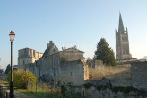 St Emilion - Élégante propriété avec vue sur les vignes, au cœur du village