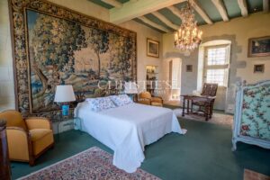 Manoir exceptionnel du XV et XVIeme avec jardins à la Française et vignoble Saumur AOC