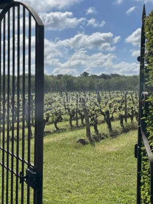 Manoir exceptionnel du XV et XVIeme avec jardins à la Française et vignoble Saumur AOC