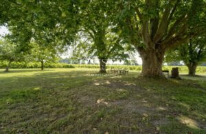 À vendre – Maison de Maître en pierre de taille à Saint-Pey-de-Castets