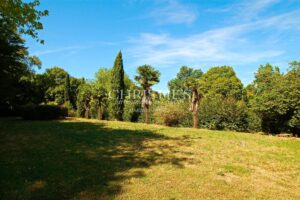 Character property to renovate - Vineyard - Outbuildings - Lovely park - Quiet and discreet