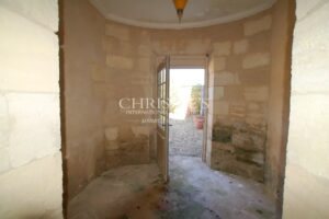 Character property to renovate - Vineyard - Outbuildings - Lovely park - Quiet and discreet