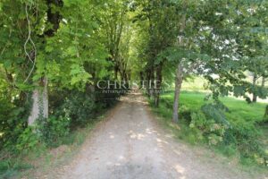 Character property to renovate - Vineyard - Outbuildings - Lovely park - Quiet and discreet