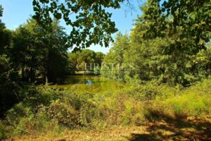 Character property to renovate - Vineyard - Outbuildings - Lovely park - Quiet and discreet