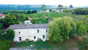 Bordeaux 35 min - Entre-Deux-Mers - Superbe demeure en pierre, - 1,2 ha - piscine