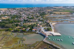 ILE DE RE- VILLA AVEC VUE MAGNIFIQUE SUR LES MARAIS - A PROXIMITE DU PORT DE LOIX
