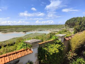 LOIX-EN-RE - MAGNIFIQUE VILLA AVEC VUE PANORAMIQUE SUR LES MARAIS ET L'OCEAN