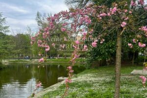 Jardin public - bien d'exception - adresse prestigieuse