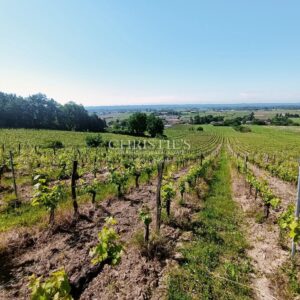 High-quality terroir, organic farming, 8 ha of vines, 2 houses, winery
