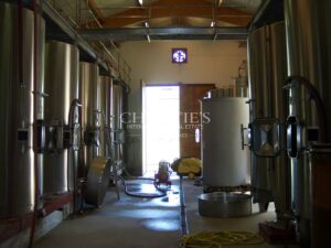High-quality terroir, organic farming, 8 ha of vines, 2 houses, winery