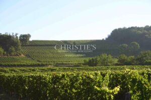 High-quality terroir, organic farming, 8 ha of vines, 2 houses, winery