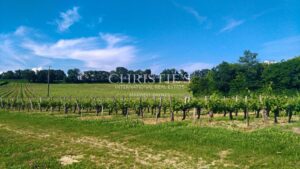 28 ha of vines - Magnificent terroir - Beautiful stone house!