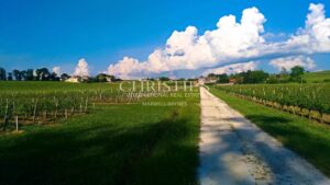 28 ha of vines - Magnificent terroir - Beautiful stone house!