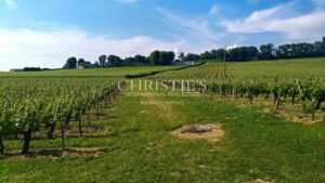 28 ha of vines - Magnificent terroir - Beautiful stone house!