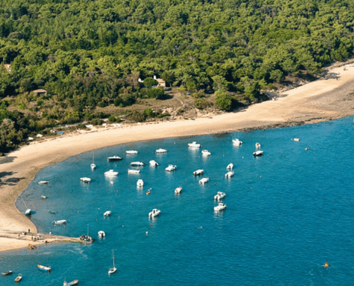 Plages des Portes-en-Ré : Nature préservée et luxe discret sur l’Île de Ré Plages des Portes-en-Ré : Nature préservée et luxe discret sur l’Île de Ré