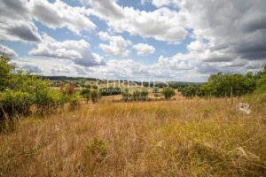 La maison du meunier perchée sur une colline, offrant une vue exceptionnelle