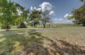 Maison familiale en pierre du XIXᵉ avec dépendances et jardin d’1 hectare