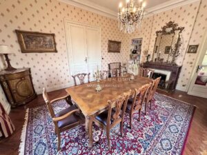 Elegant family-sized manageable 18th century Chateau - Entre-Deux-Mers