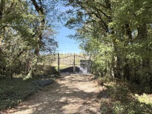 A charming Estate with 2 guesthouses, a swimming pool, 5 ha of landscaped land!!